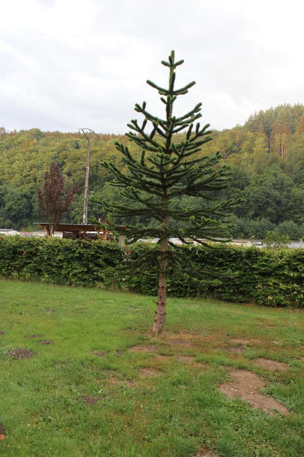 Holiday home Chez Arsene Bouillon